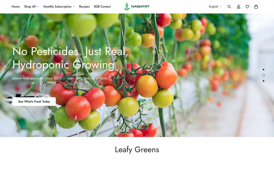 Nabatat Farm: متجر على Shopify